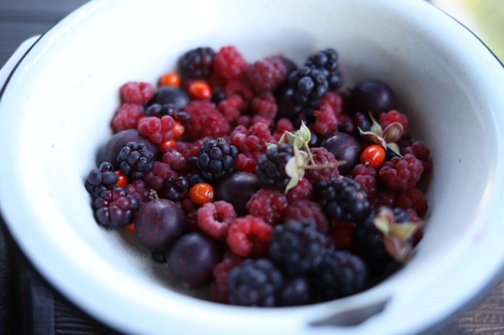A top-down view of a variety of fresh berries in a white enamel bowl, showcasing vibrant colors.